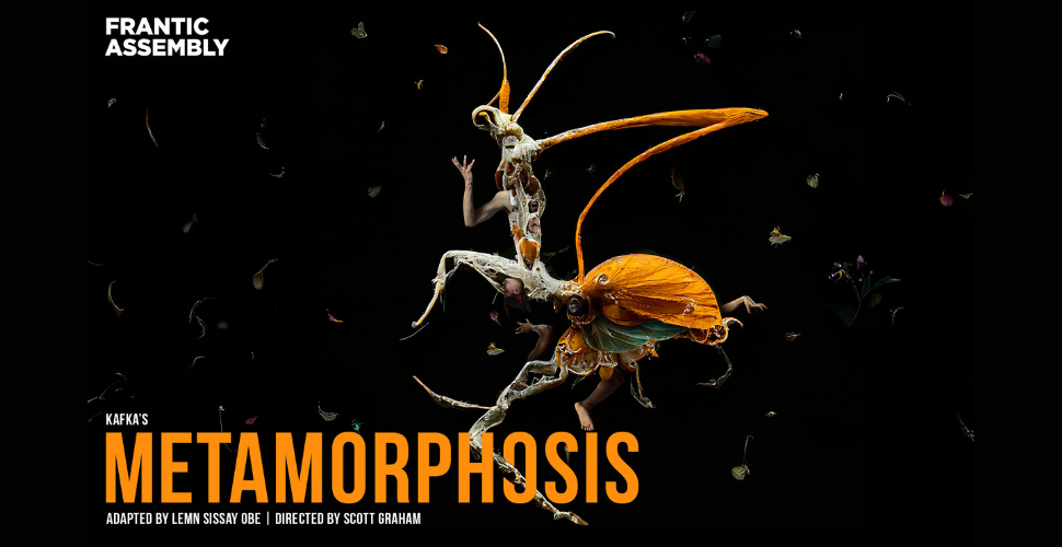 Metamorphosis